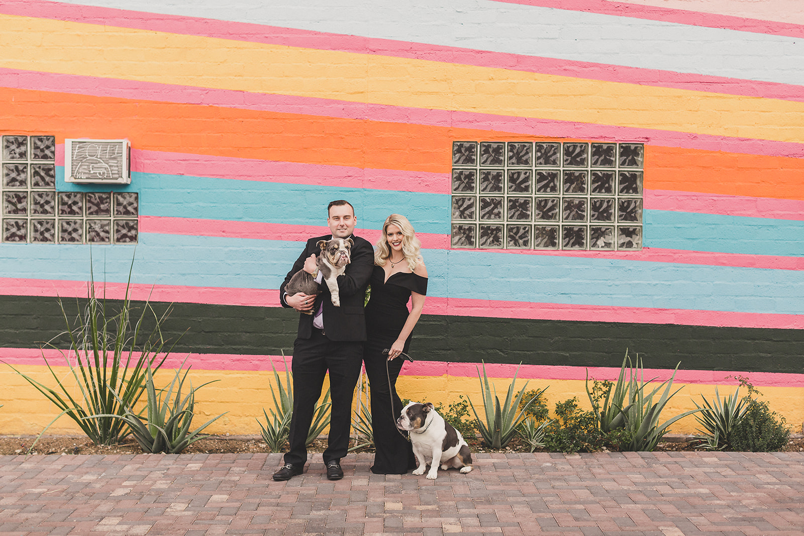 family portraits with dogs at Arts Factory by Taylor Made Photography