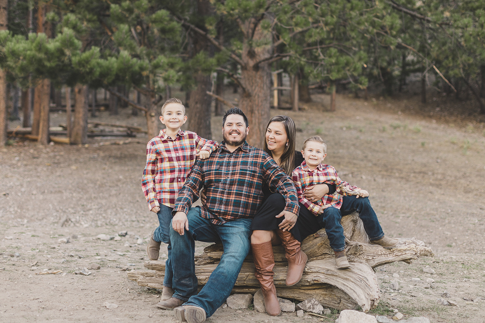 family sits on tree branch during Las Vegas Family Portraits